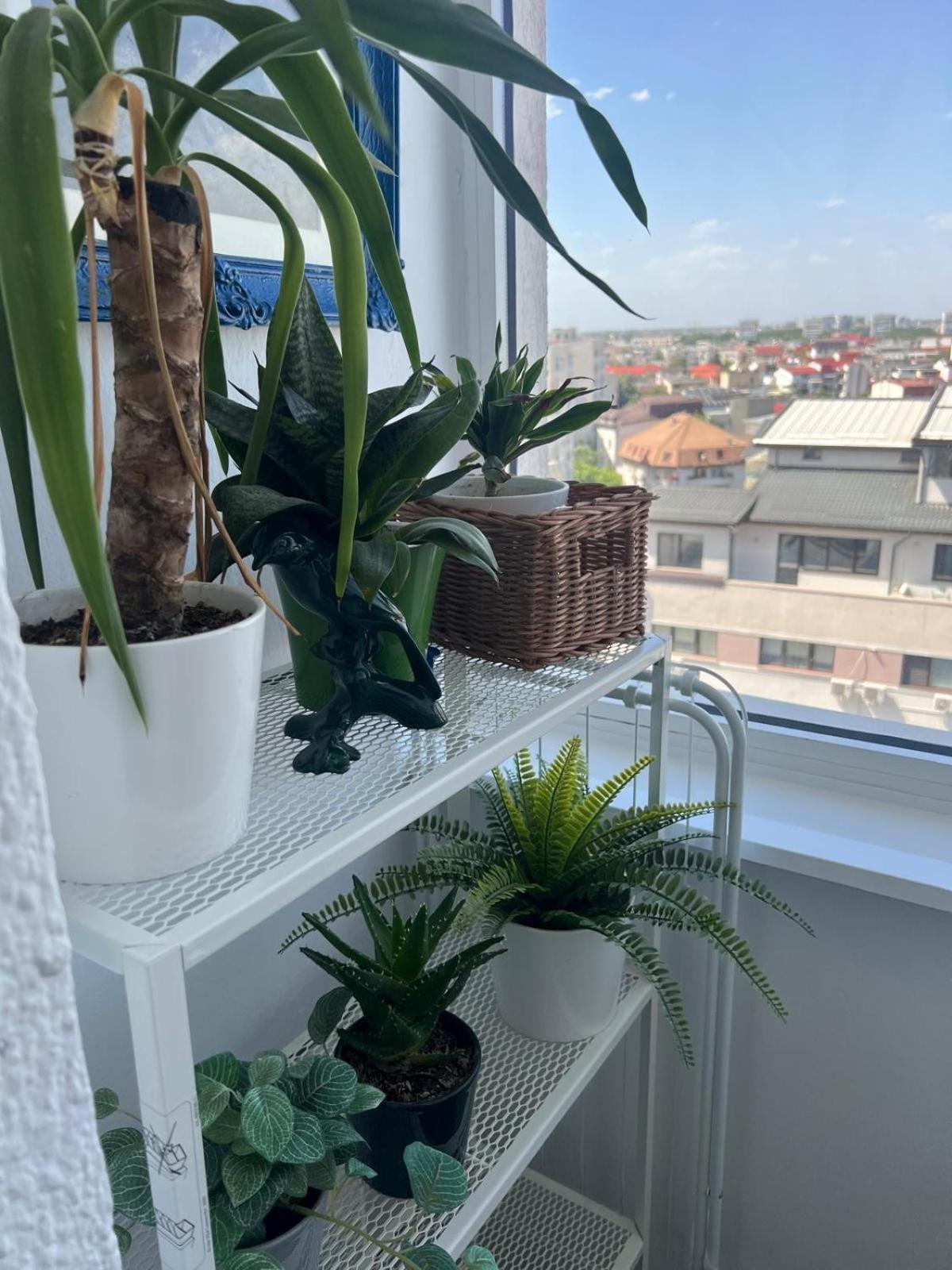 1Bdr Apartment Perla 225 ブカレスト エクステリア 写真
